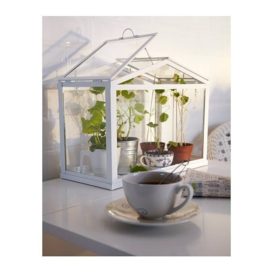 IKEA イケア 植物 ソッケル 温室ガラスケース IKEA - SOCKER ソッケル IKEA お家で 温室 新品未使用の通販 by